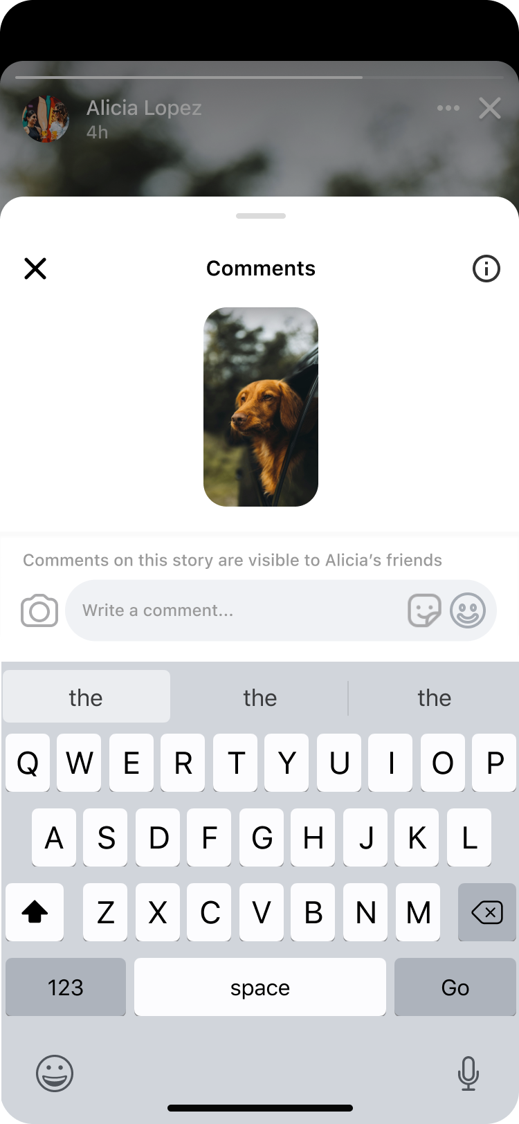 Comment sheet before — view 2