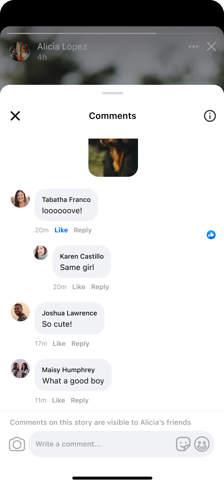 Comment sheet before — view 3