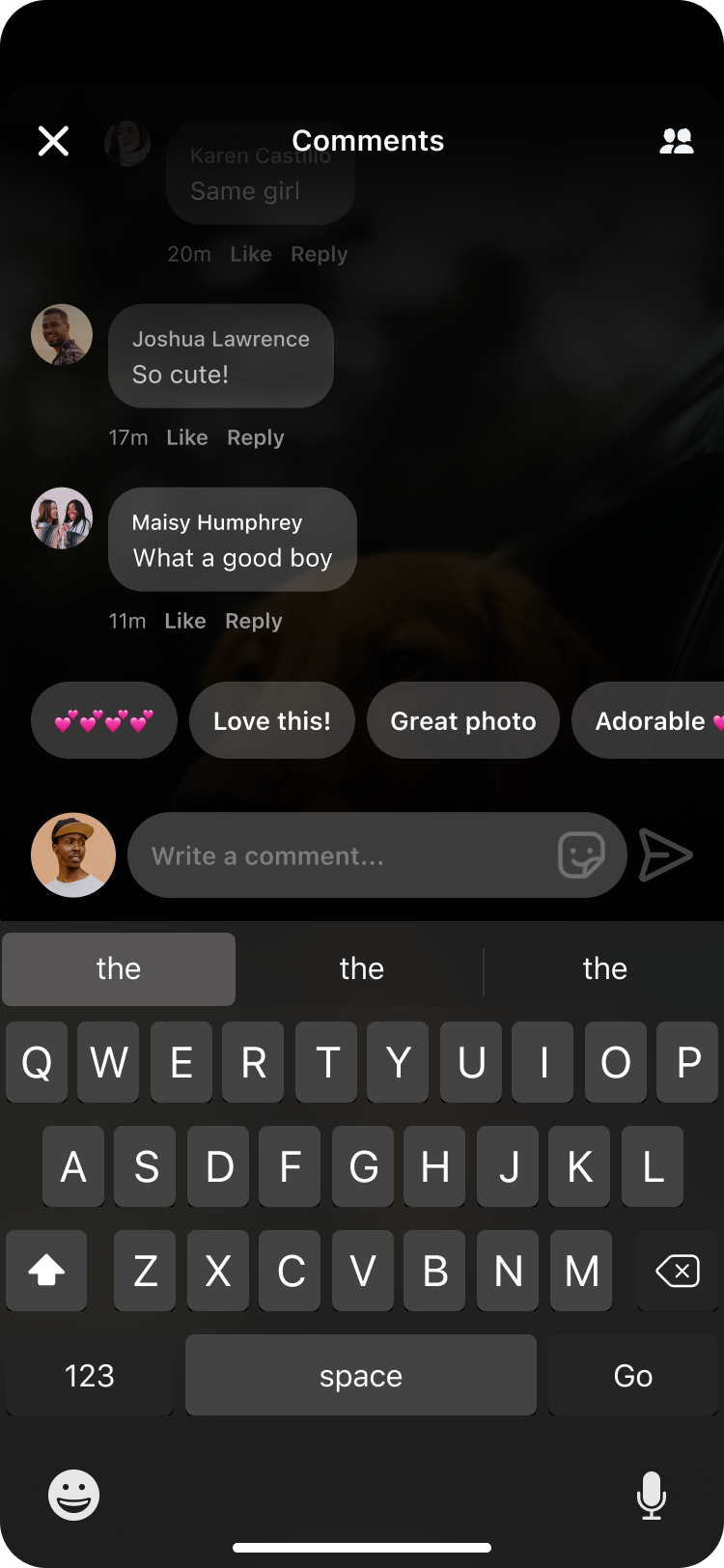 Comment sheet after — view 2