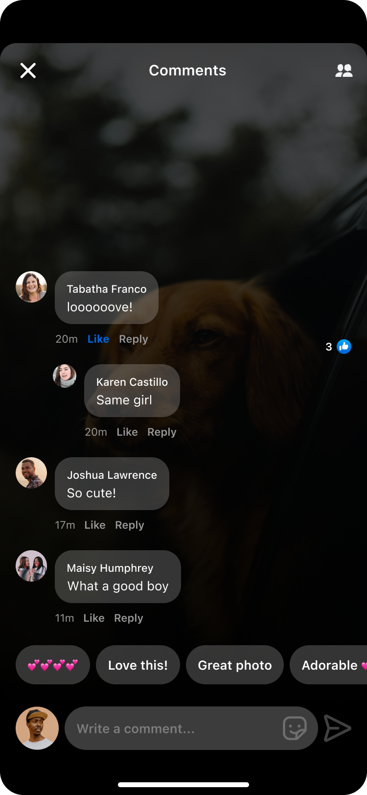 Comment sheet after — view 3